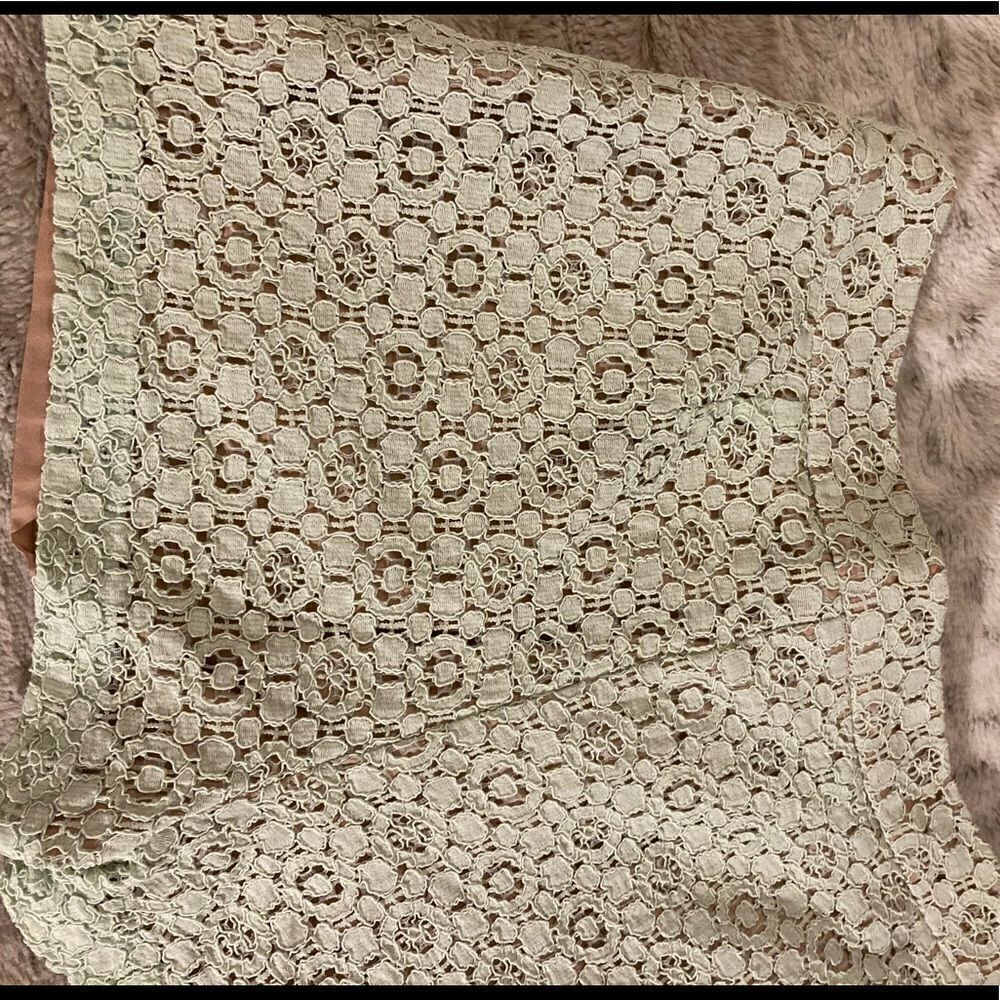 : : VICTORIA BECKHAM for Target Pale Mint Green Lace Shorts with Tan Lining : : - Picture 6 of 11